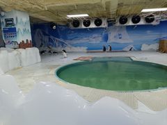 -海合安武汉极地海洋公园