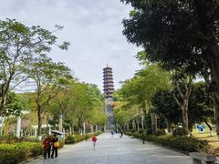 -红花山公园