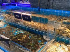 -渔纬港海鲜自助餐厅(湖里万达店)