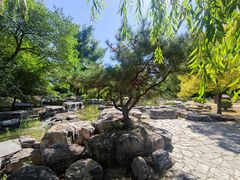 -莲花池公园