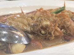 红烧老虎鱼-501號台州海鲜餐厅(海创园店)