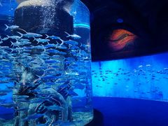 -哈尔滨波塞冬海底世界