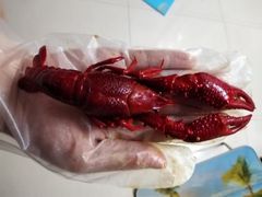 -龙虾风暴(松江店)