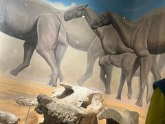 -国家自然博物馆