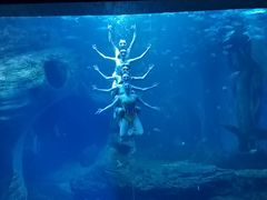 -多彩贵州城极地海洋世界