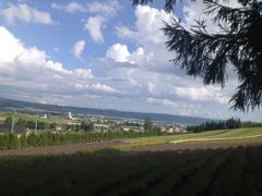 -富田农场