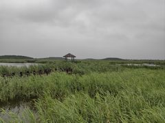 -南大港湿地风景区