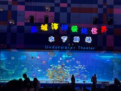 -泉城欧乐堡海洋极地世界