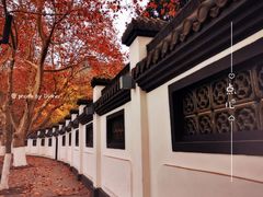 -北山街历史文化街区