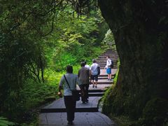 -西岭雪山大飞水景区