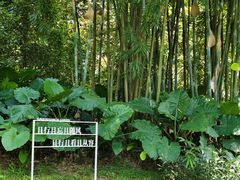 -云溪植物园