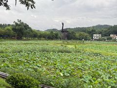 -红山村