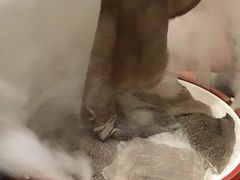 -茅草房·河畔园林火锅