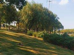 -昆山城市生态森林公园