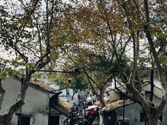 -绍兴鲁迅故里·沈园景区