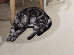 -藏猫猫咖啡主题馆(中央大道店)