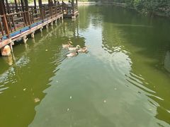 -菜根香土菜馆(文昌东路店)