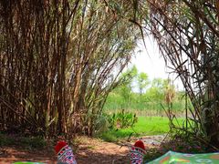 -白鹭湾湿地公园