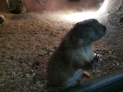 -酷嗒动物文化乐园(cutezoo西溪乐天城店)