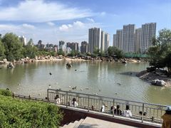 -青藏高原野生动物园