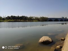 -飞来湖湿地公园