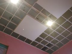 -狐狸和向日葵(北京路店)