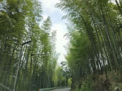-蜀南竹海景区