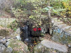 -天女山森林公园
