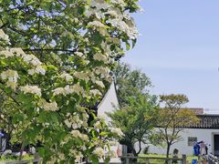 -苏州文庙(姑苏区)