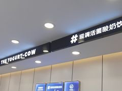 -一只酸奶牛(洪崖洞11楼店)