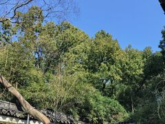 -西园戒幢律寺