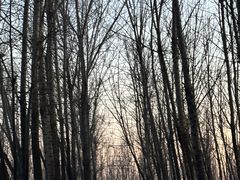 -蓝地时尚庄园(北京清河营地铁站店)