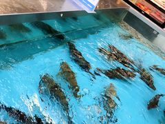 -盒马鲜生(宝地店)