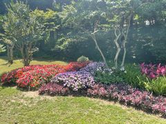 -庐山风景区花径公园