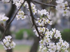 -国际非物质文化遗产博览园