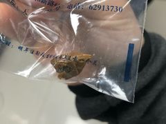 -申普宠物医院·心脏介入·心血管微创(总院)