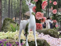 -洛阳白云山景区