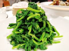 高山豆苗-南麓·浙里(外滩店)