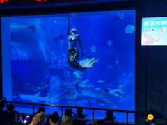 -太平洋海底世界