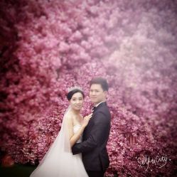 点击看大图 -太郎花子婚纱摄影艺术中心