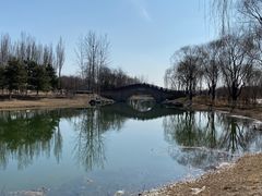 -大兴滨河森林公园