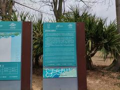 -深圳湾公园(南山区)
