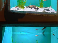 -上海海洋水族馆