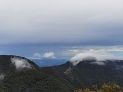-霍顿平原国家公园