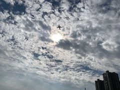 -海沧湾公园