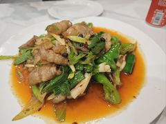土猪回锅肉-金熊猫川菜餐厅