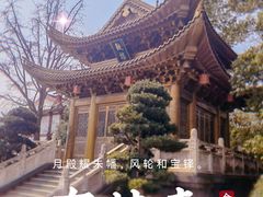 -上海东林寺(金山区)