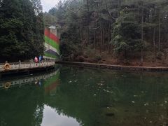 -四明山国家森林公园