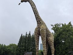 -西霞口神雕山野生动物世界