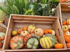 -中国天府农业博览园